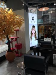 -M Hair造型