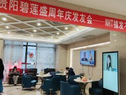 -碧莲盛·不剃发植发