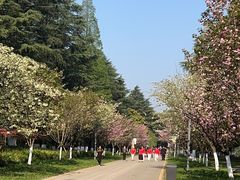 -花溪公园