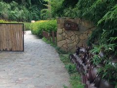 -远山有窑