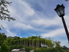 -千岛湖君澜度假酒店(文广轩中餐厅)