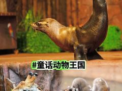 -长鹿旅游休博园