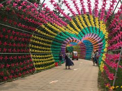 -南戴河国际娱乐中心