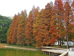 -华南国家植物园-售票处