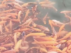 -千龙湖生态旅游度假区