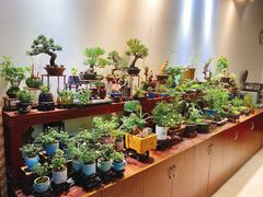 -双季花艺园艺市场(浦东店)