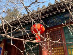 -潭柘寺景区