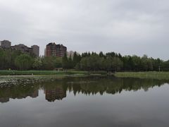 -前关湿地公园