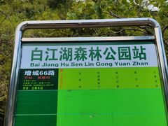 -广州白江湖森林公园