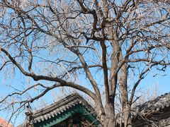 -张学良旧居陈列馆