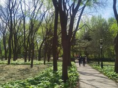 -玲珑塔公园