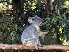 -费瑟代尔野生动物园