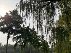 -廊坊市自然公园