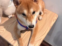 -伽利略剧本探案馆(国贸店)