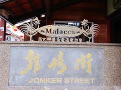 -马六甲鸡场街