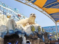 -华夏文旅海洋公园