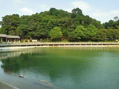 -广州市帽峰山景区