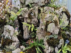 -国家植物园南园