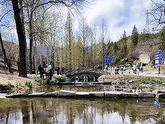 -白水寺森林公园