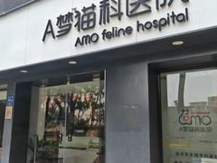 -御宝贝·A梦猫科宠物医院(国际猫友好医院)