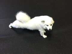 -Ms.Pilates 普拉提技术(尚悦湾陆家嘴店)