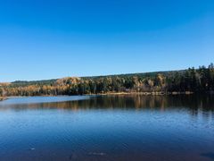 -五营红松林海景区