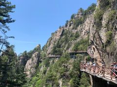 -老君山风景名胜区