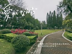 -人民公园(罗湖区)