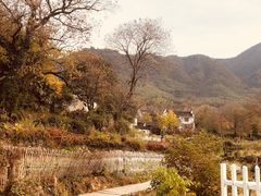-塔川景区
