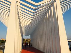 -风云岭森林公园