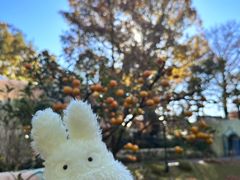 -三鹰之森吉卜力美术馆