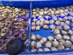 -澜悦港海鲜体验主题餐厅