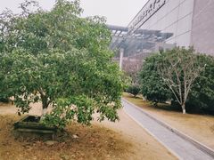 -苏州西交利物浦大学国际会议中心