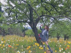 -名花谷生态庄园