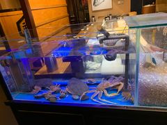 水产区-千代武日本料理(爱建店)