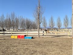 -北京群众马术培训基地