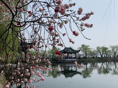 -无锡蠡湖国家湿地公园-蠡园