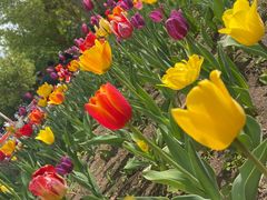 -长春公园(普阳街道)