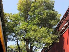 -塔尔寺