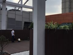 -IL Forno 意坊·意大利餐厅(温州万象城店)