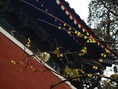 -北京艺术博物馆(万寿寺)