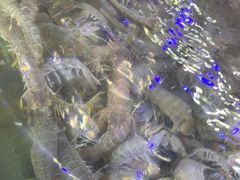 -星奇缘·海鲜餐厅(东山美食地标店)