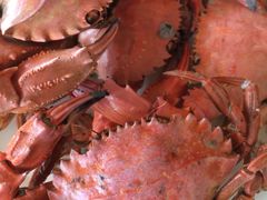 -海天一色海景自助餐厅(西港花园店)