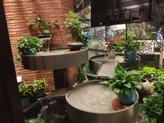 -润园四季椰子鸡火锅(海上世界店)