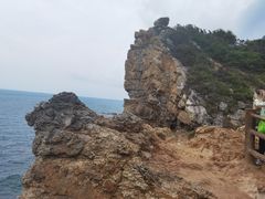 -杨梅坑