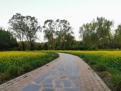 -北坞公园