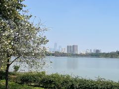 -海珠湖公园
