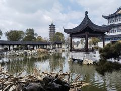 -葛仙湖公园