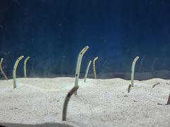 -欢乐海岸海洋奇梦馆