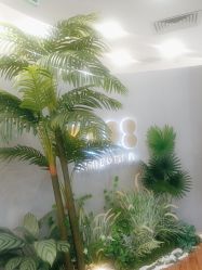 点击看大图 -八佰伴8008星级形象店